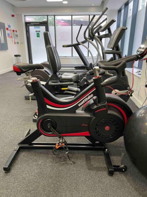 Cool Dalston Studio With Balcony And Gym Leilighet London Eksteriør bilde